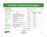 Image of a Summary Inspection Report